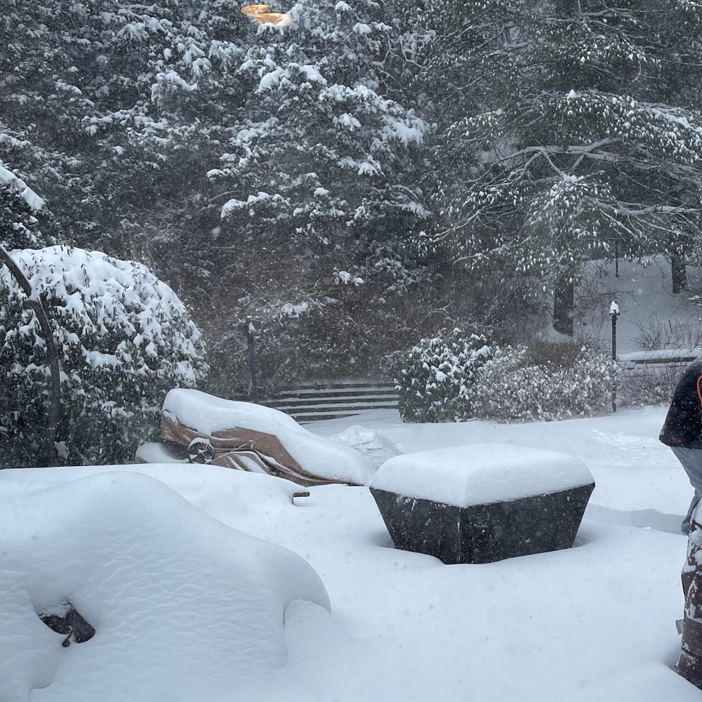 Meet your Posher, Lourdes